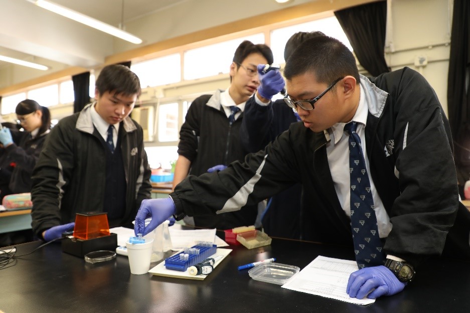 Form 6 students from Y.W.C.A. Hioe Tjo Yoeng College (基督教女青年會丘佐榮中學) learn how to use a pipette for gel electrophoresis as part of the Amgen Biotech experience.