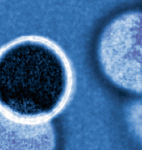 Female doctor checking on elderly female patient