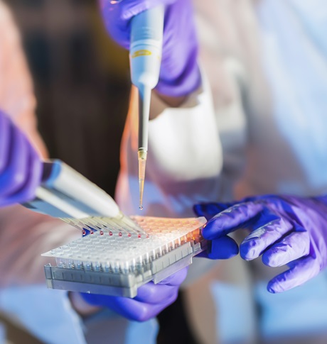 Scientists at work in a laboratory holding a pipette while filling test tubes